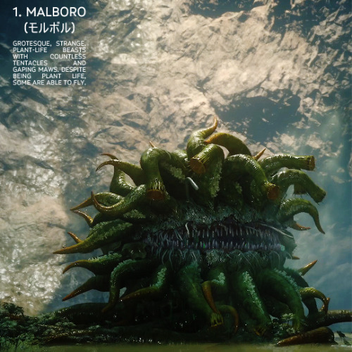 velox-argentum:1.2 ETYMOLOGY “Malboro” derives from the Japanese onomatopoeia boro,