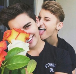 cutegaycouplesaf:  I’m waiting for the day I get some roses from my love. 