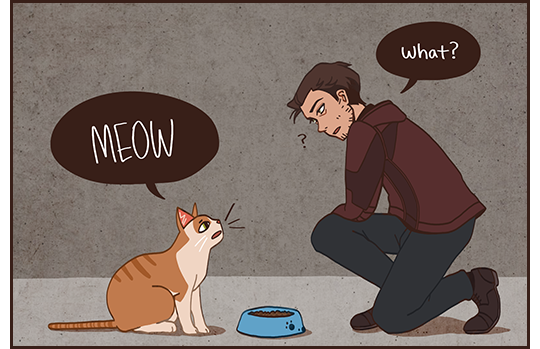 16ruedelaverrerie:  But what if the stray cat Gavin feeds in the alleyway behind