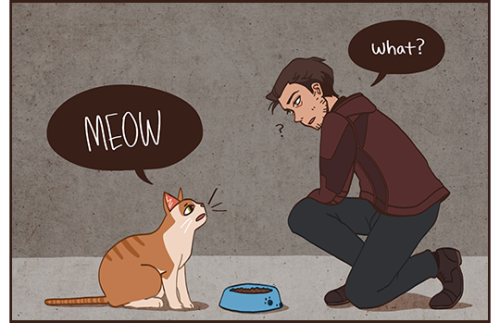 16ruedelaverrerie:  But what if the stray cat Gavin feeds in the alleyway behind his house were as relentlessly and as pointlessLY TALKATIVE AS MY FUCKING CATYou thought you were reading a comic about Gavin Reed but really it’s a comic about my cat.