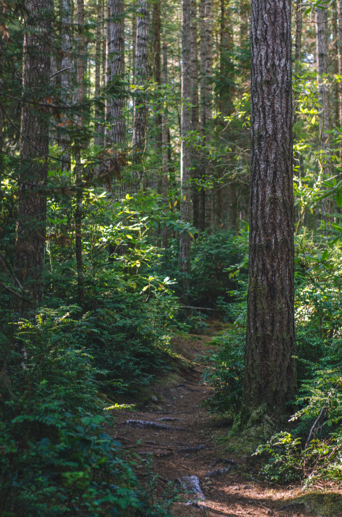 Beaver Pond Loop