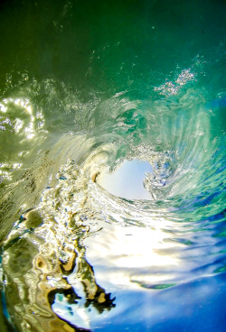 highenoughtoseethesea:  Photo: Lokahi Escuadro