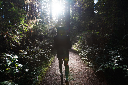 Redwood National Park: CampingCompletely breathtaking. Completely unreal.  I love this campsite we s