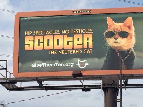 failnation:  The billboards in my town just keep getting stranger and stranger… 