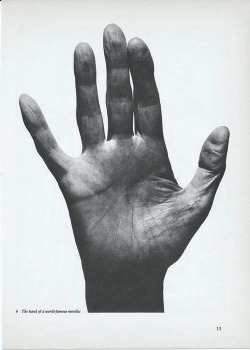 ohthentic:  cinoh:  1. hand unknown 2. A