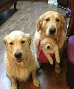 thecutestofthecute:  Family photo 