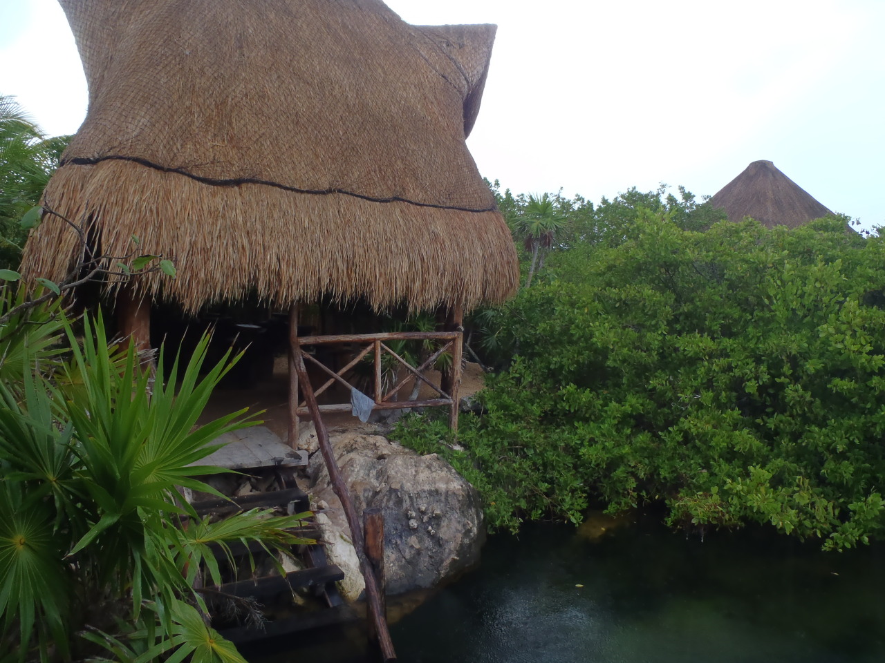 exotic-elephant-s:  aloasis:•Tropical // Indie•  follow exotic-elephant-s for
