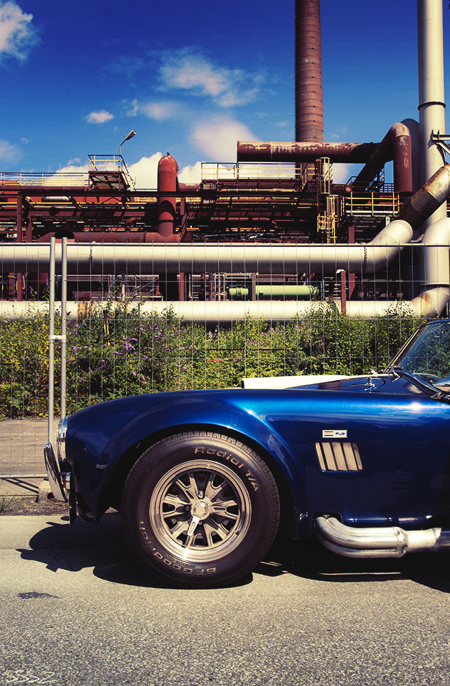 sssz-photo:  Cobra