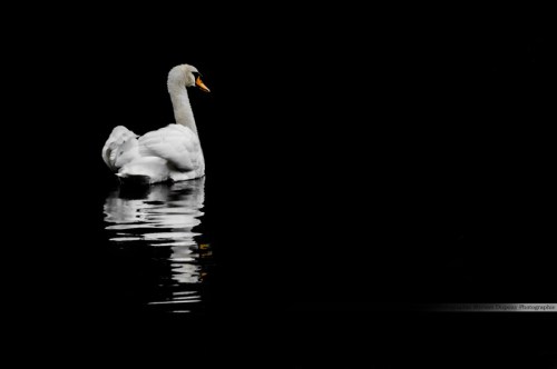 A Family, May 2014. Do not hesitate to join me on Facebook too : https://www.facebook.com/MDupouyPh