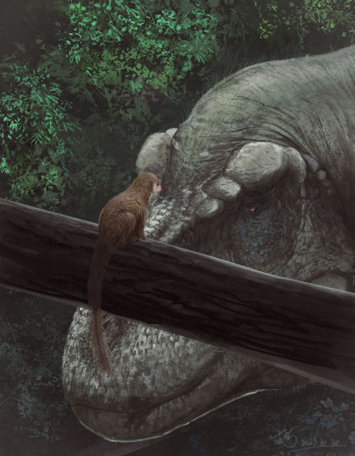 Purgatorius And Tyrannosaurus By Bush Viper 165.