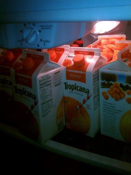babyferaligator:  every floridians fridge  it is in fact, not
