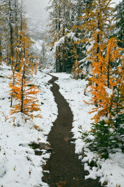 wonderous-world:  Yoho National Park, British Columbia, Canada by Lee Rentz