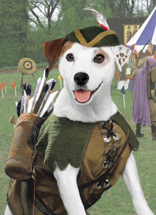 thosewerethe90s: callmekaters: WISHBONE WAS SO LEGIT. you know it
