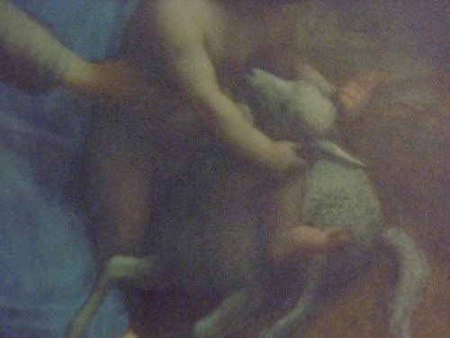 Nobuhiro Shimura, Mouton du Louvre, 2019variable, 8mm color film on video/ 4:3/ silent/ 1′43&c