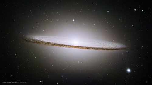 XXX capturingthecosmos:  The Sombrero Galaxy photo