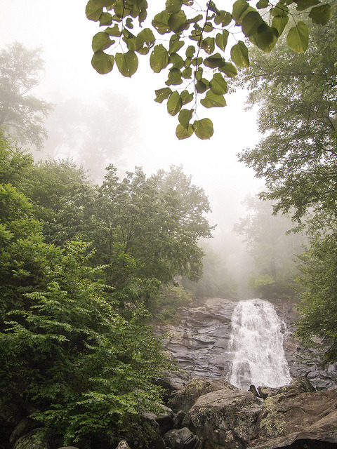 Another Whiteoak Canyon waterfall by districtinroads on Flickr.