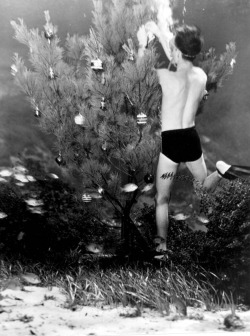 Bud Bassette decorating underwater Christmas