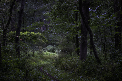 garettphotography:Autumn Beginnings | GarettPhotography