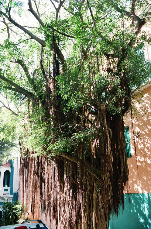 old san juan