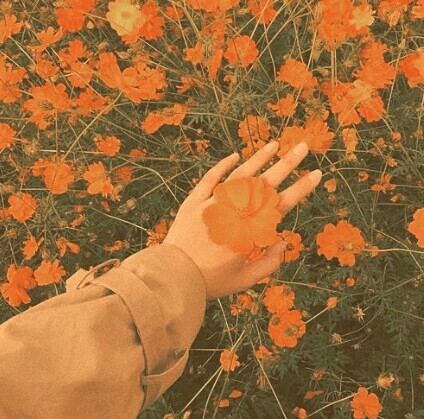 Edward ‘babe’ Heffron -Modern Aesthetic- orange “I swear when he smiles I forget h