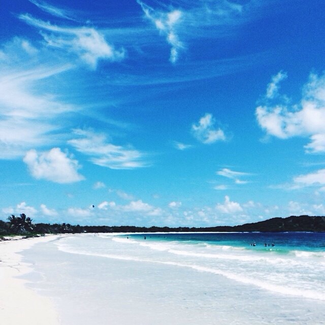 reem33:  .