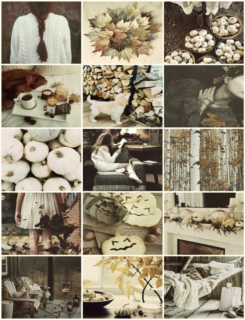 aestheticschaos: October Child aesthetic