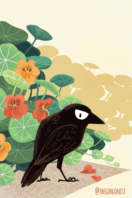 thegorgonist:Crow PlacesEverywhere is a crow place, if crows want to be there–clockwise from t