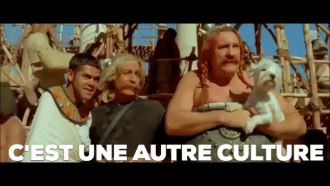 tumblr_inline_p04yqvm9Lc1r16f5o_500.gifv