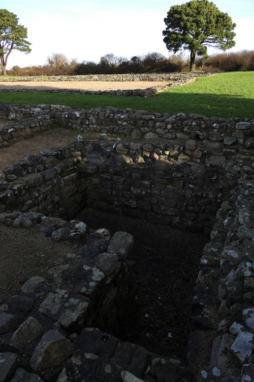 thesilicontribesman: Segontium Roman Fort and Settlement, Caernarfon, North Wales, 16.2.18. This sit