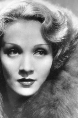 sourvix:  Marlene Dietrich, Shanghai Express