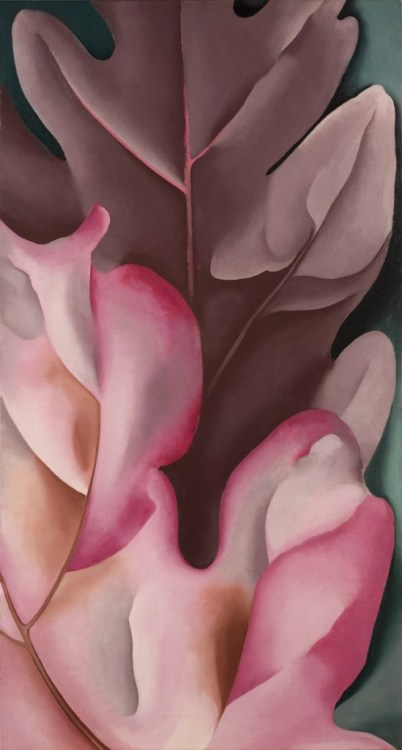  Georgia O'Keeffe - Oak Leaves, Pink and Gray (1929)