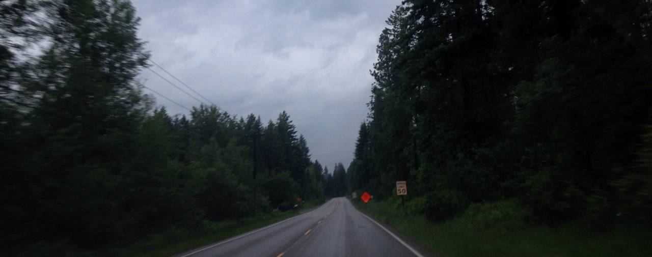 littleloopyloser:  this drive is un-freaking real. fresh rain &amp; green trees