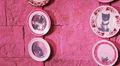 halesmartin:  harry potter + pink