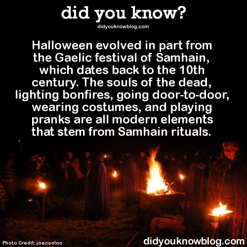 did-you-kno:  Halloween evolved in part from the Gaelic festival of Samhain, which