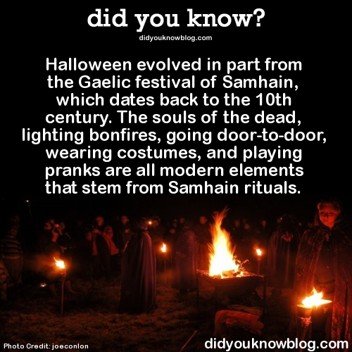 did-you-kno:  Halloween evolved in part from the Gaelic festival of Samhain, which dates back to the 10th century. The souls of the dead, lighting bonfires, going door-to-door, wearing costumes, and playing pranks are all modern elements that stem from