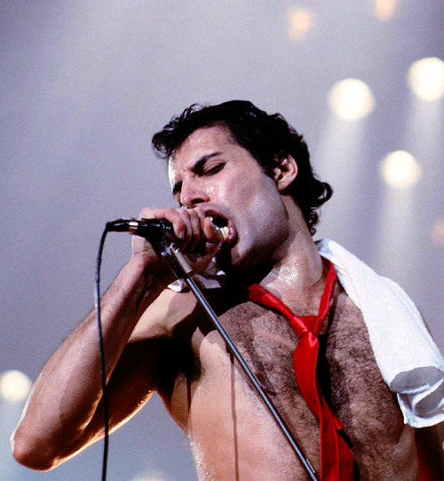 fuckyeahmercury