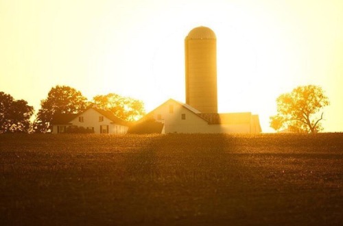 oldfarmhouse:morning has broken