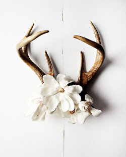 theetsybazaar:  Antler No.6986 