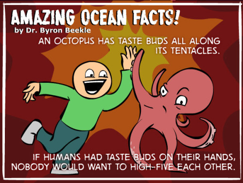 tastefullyoffensive:  Amazing Ocean Facts by Dr. Byron Beekle [natgeo]Previously: Animated Animals Facts 