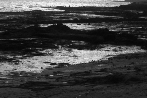 victormalonso:  the shore’s skin at sunsetby víctor m. alonso