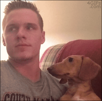 squirticuno:  4gifs:  Dog caught staring  Literally me when my crush looks at me 