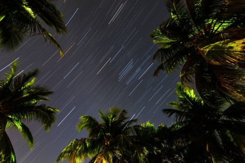 “Stars at the tropic”
Early 2021 shooting at the beach with a flashlight
Machina:  
Opticae: 
Arx: 12mm 
Velocitas: Various
Foraminis: f2.8
Ratio:  5568x3712
.
.
.
.
.
.
.
                           posted on Instagram - https://instagr.am/p/CYMztQZNJnP/ #D7500#Tokina1116#astro#astrophotography#natgeo#latam#centralamericaliving#elsalvadorimpresionante#ni