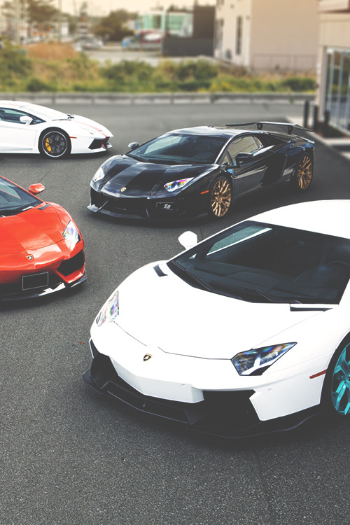 johnny-escobar:  Aventador(s)  adult photos