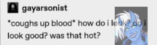 Tumblr media