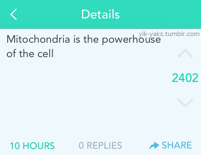 yik-yaks:  Fun Fact FridayFollow Yik-Yaks for more.