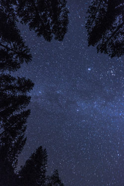 mbphotograph:The stars of Yosemite National