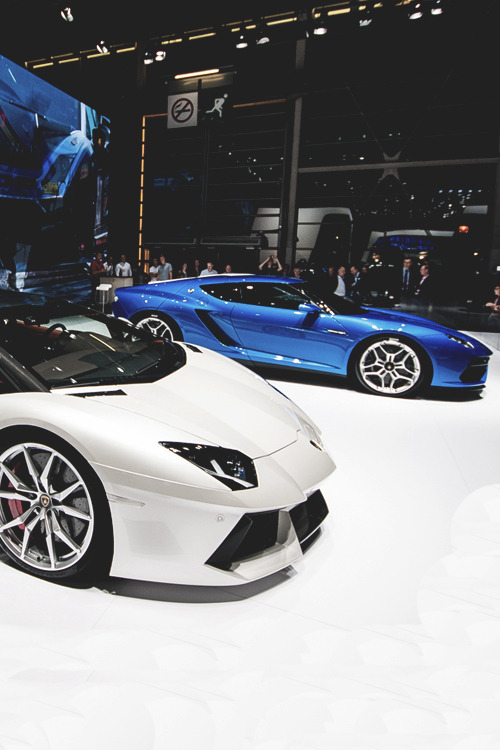 mistergoodlife:  Aventador x Asterion | Mr. Goodlife | Instagram