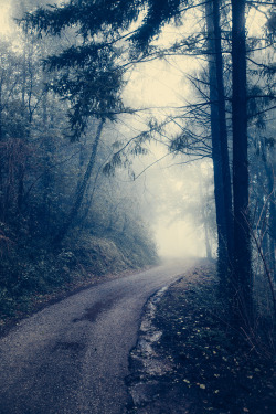 lensblr-network:  { the road to.. } by Elena