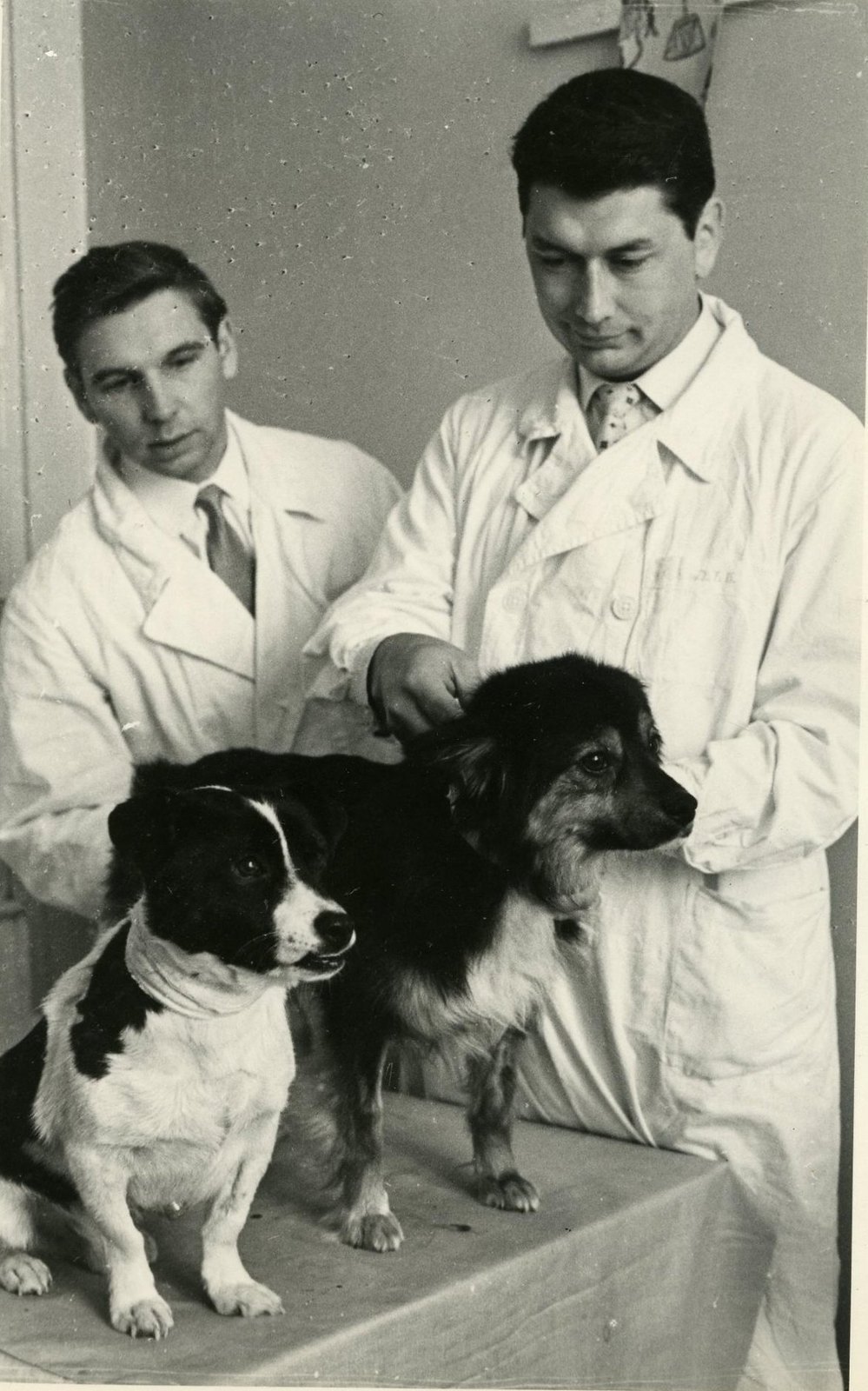 Space dogs Veterok [Little Wind] and Ugolyok [Little Coal] with their scientists B. Yegorov and A. Kiselyov (1966)