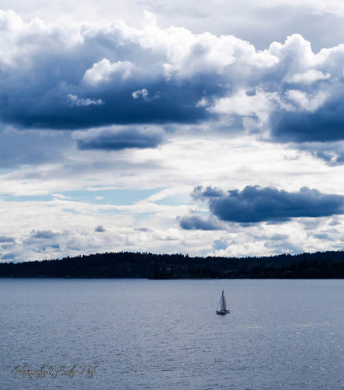 Seven Day Alaska Cruise Out of Seattle, WaAugust 2016Leaving Seattle, Two of two